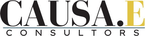 CAUSA.E CONSULTORS