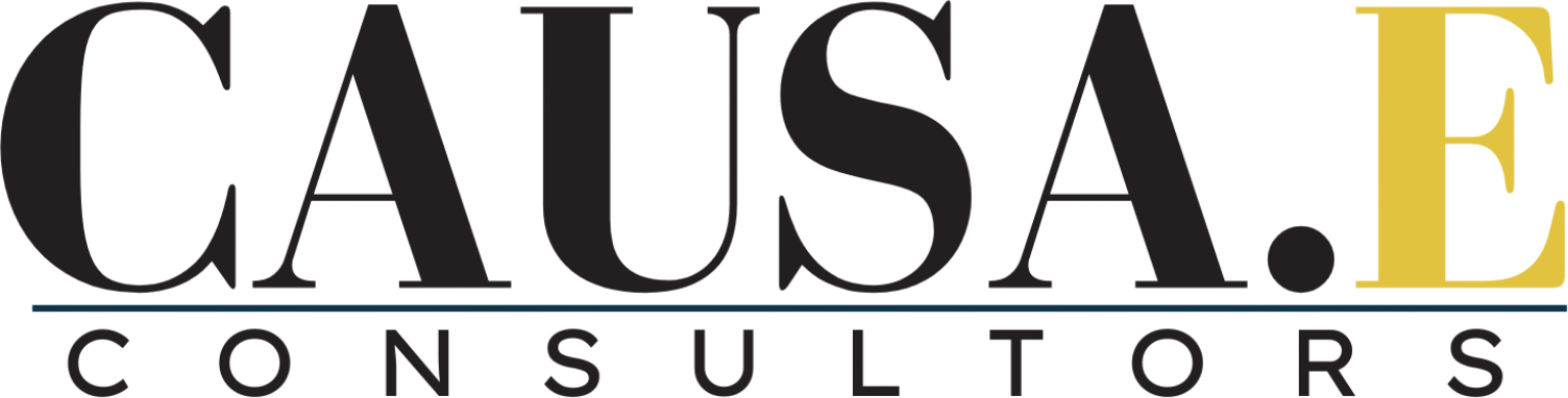 CAUSA.E CONSULTORS